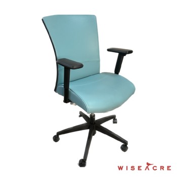 Furnishings, Swivel Office Chair, Blue, Black